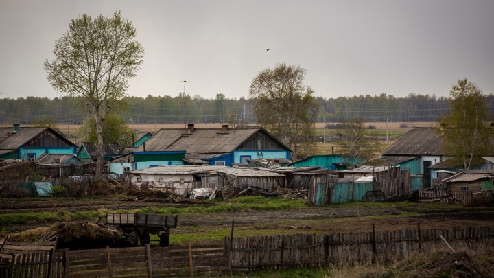 Русское Поле Магазин Новосибирск Русское Поле Магазин Новосибирск