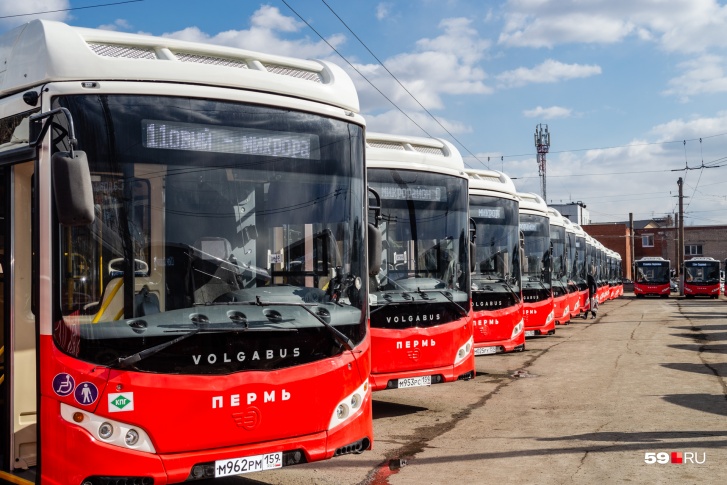 Модели автобусов могут быть разными, но дизайн планируют единый