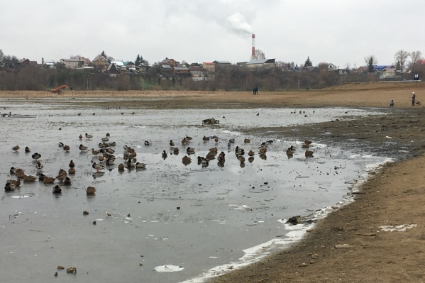 Так выглядит озеро Кашкадан сейчас — водоем осушают для последующих работ Так выглядит озеро Кашкадан сейчас — водоем осушают для последующих работ