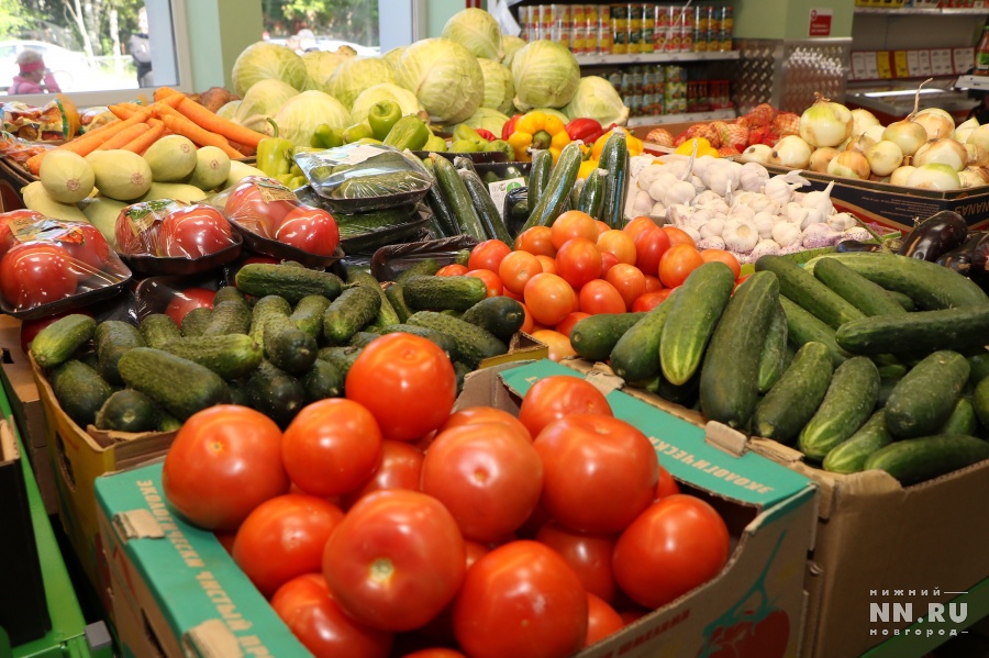 Томаты за 2 миллиарда: в Нижегородской области овощи будут выращивать круглый год
