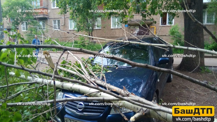 Последствия урагана в Уфе: дерево придавило иномарку