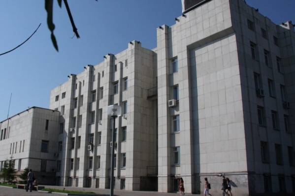 Деревья собираются вырубить возле корпуса на Свободном, 79 Деревья собираются вырубить возле корпуса на Свободном, 79