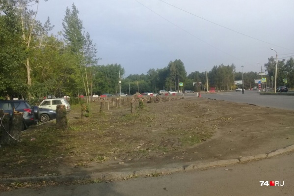 Горожане озабочены вырубкой каждого дерева Горожане озабочены вырубкой каждого дерева