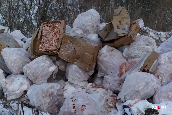 В областном управлении ветеринарии пообещали принять меры В областном управлении ветеринарии пообещали принять меры