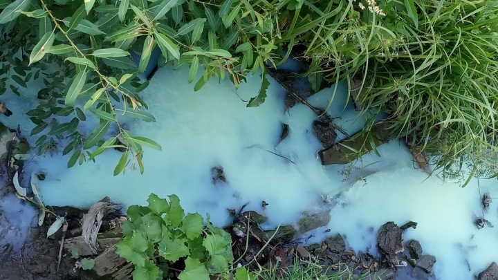 Возможен сброс химикатов: пермяки пожаловались на загрязнение речки Гусянки