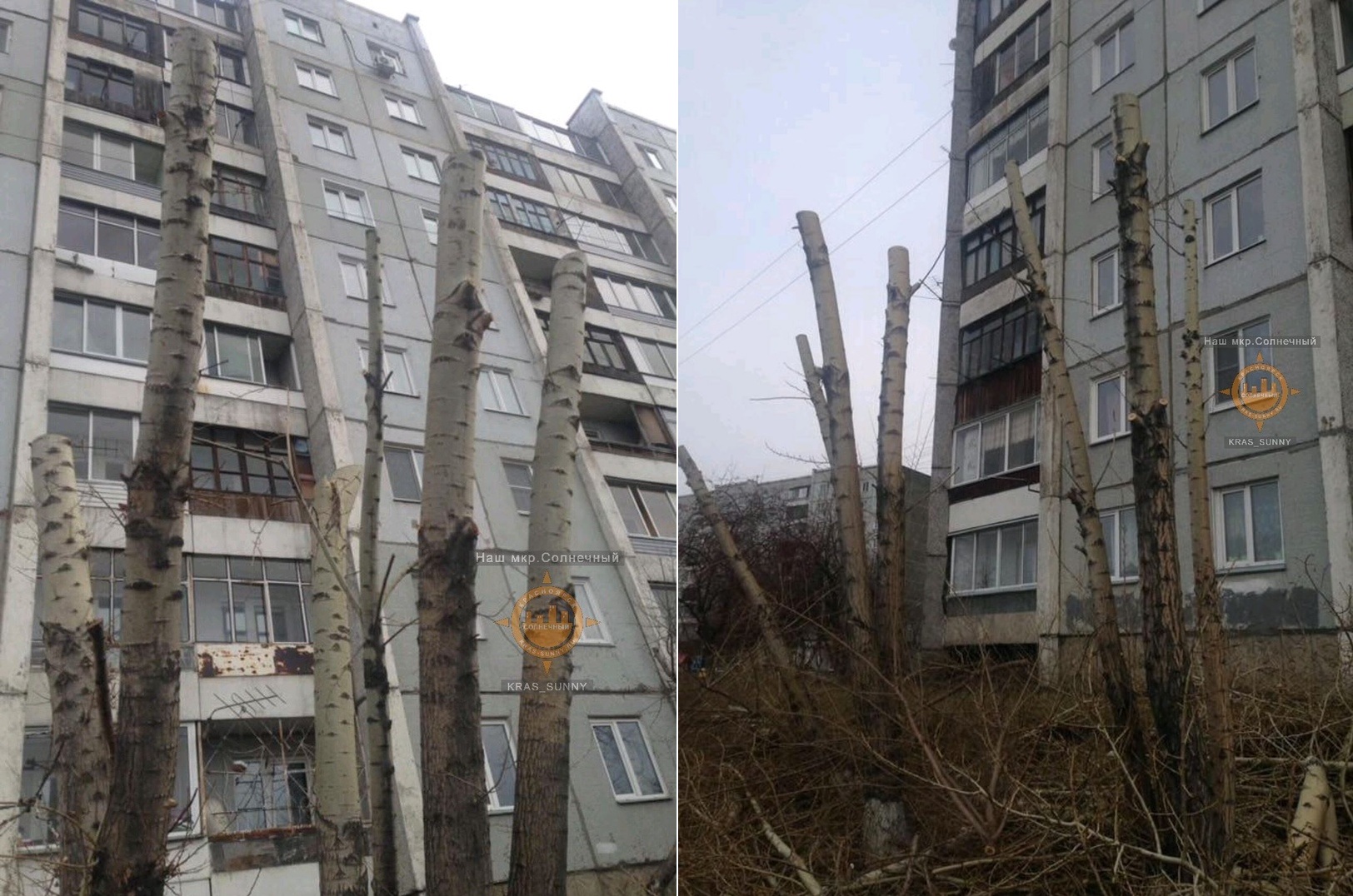 Возле ближайшего дома деревья также лишились веток Возле ближайшего дома деревья также лишились веток