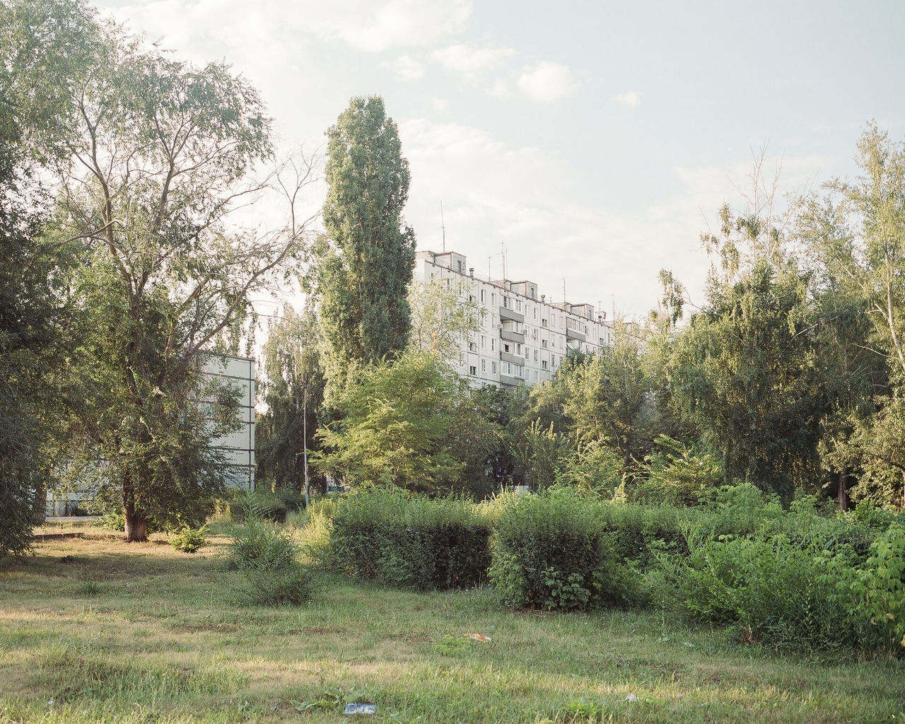 Анастасия Цайдер показывает, как природа занимает в городе любое пустующее пространство 