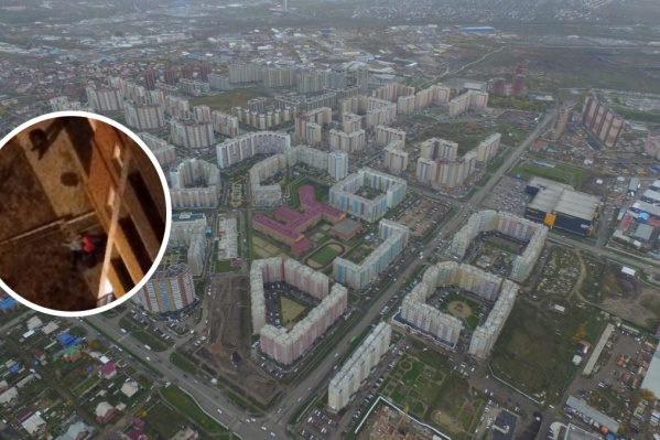 Инцидент произошел вечером в микрорайоне «Покровский» Инцидент произошел вечером в микрорайоне «Покровский»