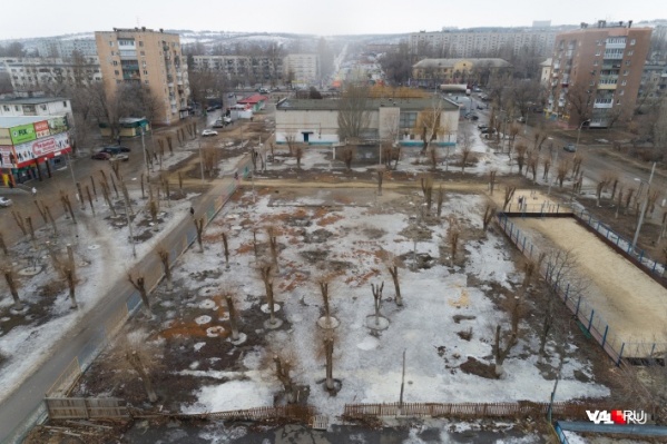 На этой неделе в парке пустили под топор аллею вязов и тополей На этой неделе в парке пустили под топор аллею вязов и тополей