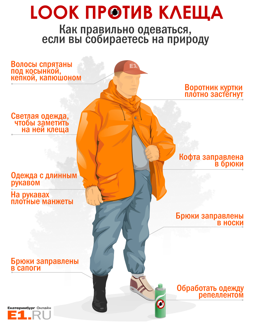 Первый пошёл: в Свердловской области зарегистрировали подтверждённый случай энцефалита