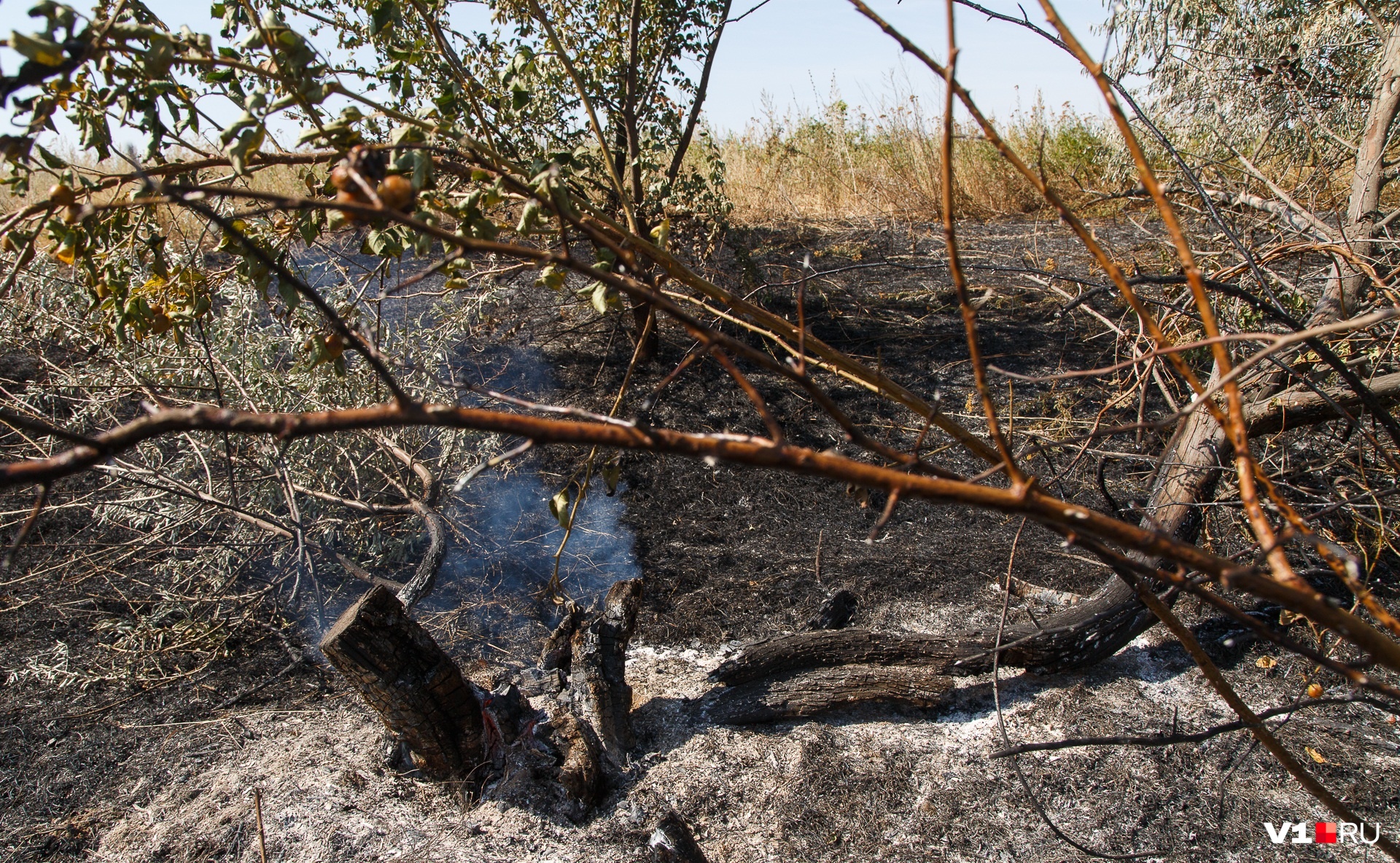 В Волгоградской области МЧС предупредило о чрезвычайной пожароопасности