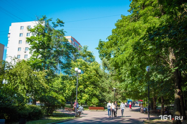 По мнению дендролога Козловского, в центре города много «опасных деревьев» По мнению дендролога Козловского, в центре города много «опасных деревьев»