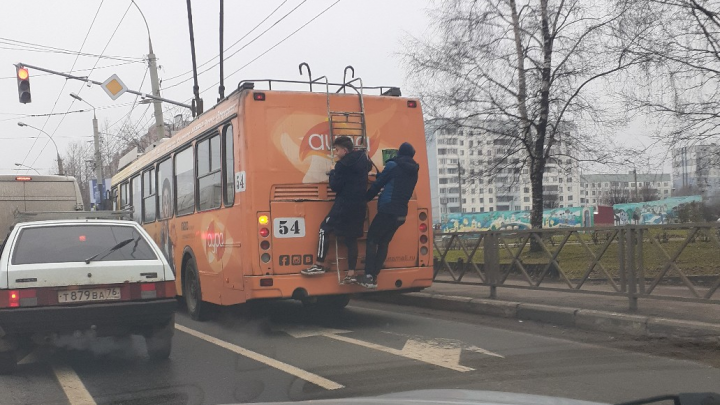 «Опасно не только для них»: в Ярославле зацеперы вызвали ностальгию у жителей и злость у водителя