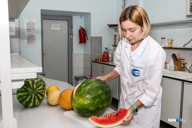 Можно На Диете Есть Дыни.