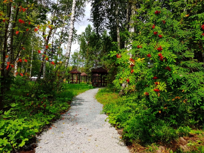 Лес покромсали