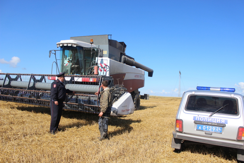 Двое на КАМАЗах украли 22 тонны пшеницы с поля и пытались сбежать от полиции