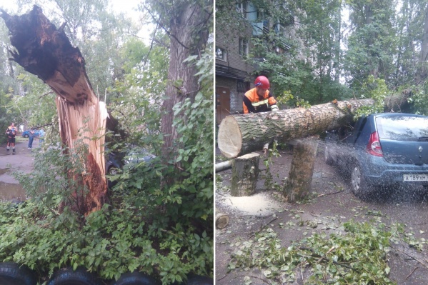 Дерево во дворе надломилось и упало на припаркованный «Рено» Дерево во дворе надломилось и упало на припаркованный «Рено»