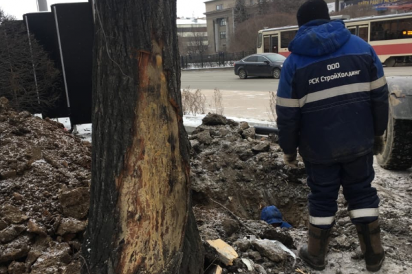 По словам активистов, подрядчик обработал варом только крупные повреждения, а мелкие оставил без внимания По словам активистов, подрядчик обработал варом только крупные повреждения, а мелкие оставил без внимания