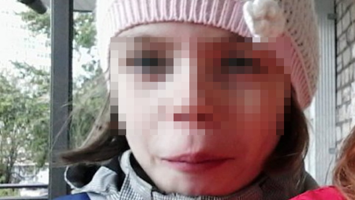 На место вышли кинологи и конная полиция: в Перми продолжается поиск 11-летней девочки