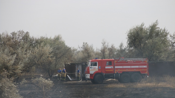Ростовчанам запретили ходить в леса из-за высокой пожароопасности