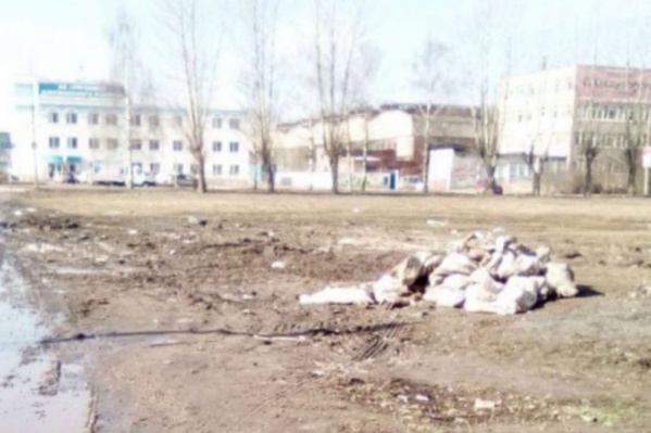 Мешки с останками перетащили в центр пустыря Мешки с останками перетащили в центр пустыря 