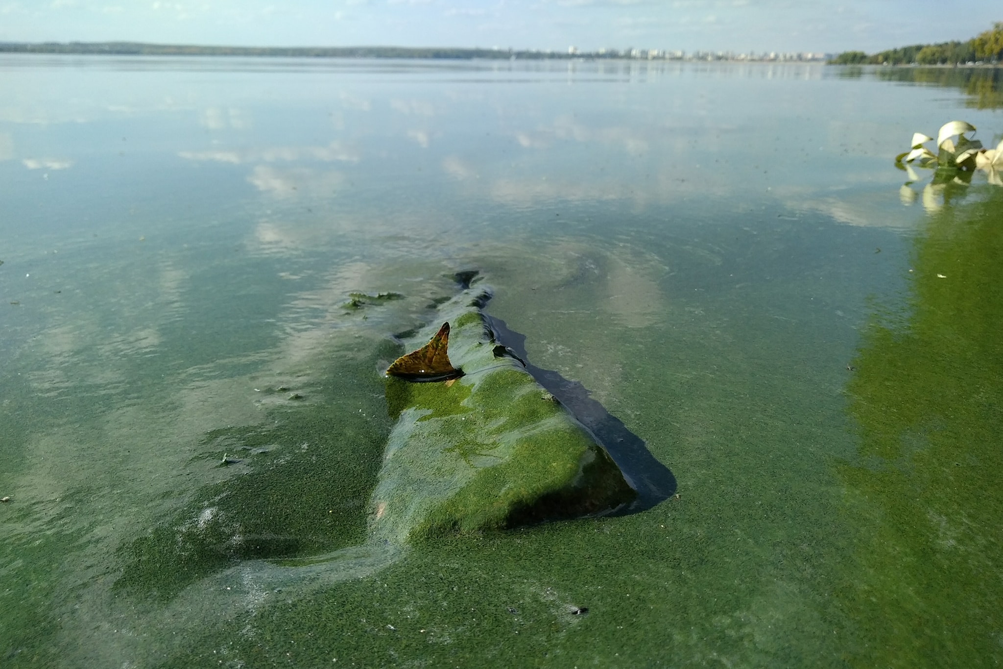 Вода в водохранилищах