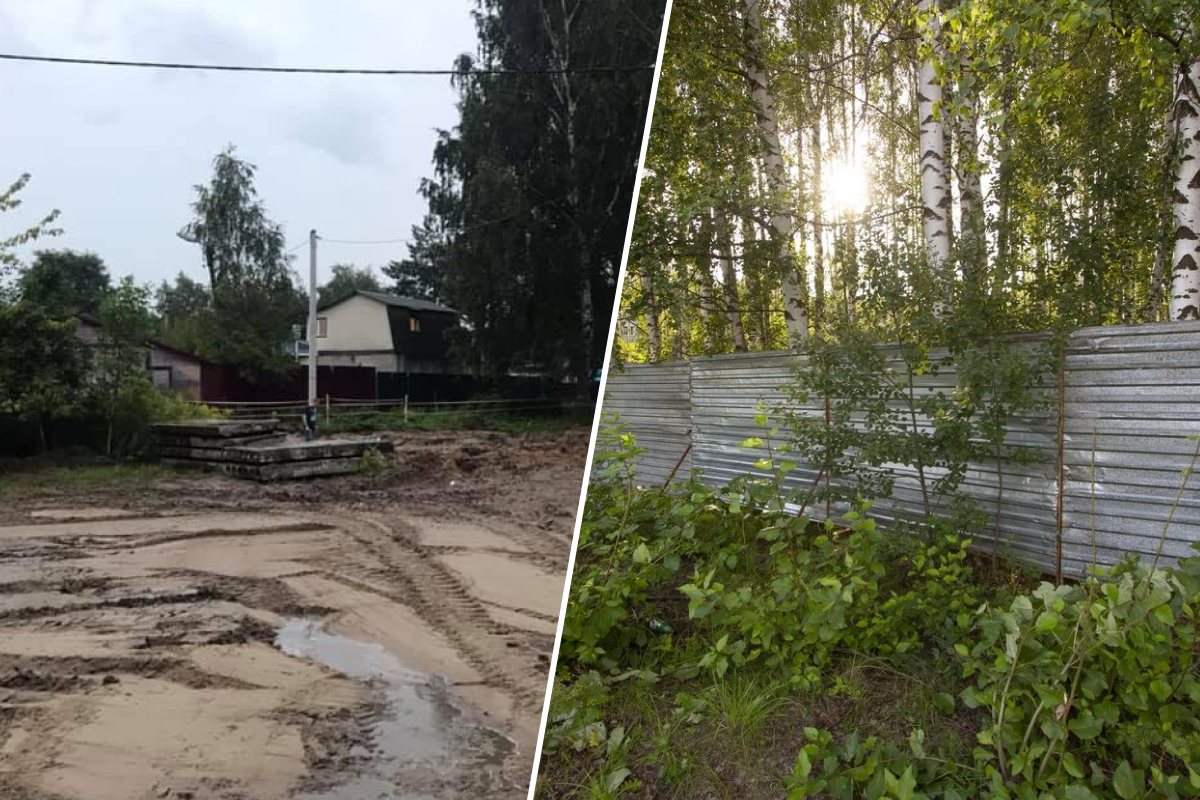 Берёзовую рощу в Рыбинске, где хотели поставить часовню, всё же застроят: что там появится