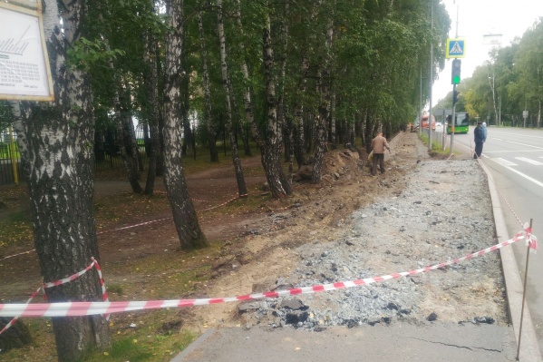 Старый асфальт и верхний слой грунта снимали техникой и повредили корни деревьев<br> Старый асфальт и верхний слой грунта снимали техникой и повредили корни деревьев<br>