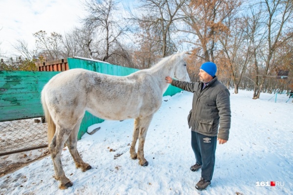 Животному необходимо двигаться, поэтому каждый вечер ее отпускают на прогулку Животному необходимо двигаться, поэтому каждый вечер ее отпускают на прогулку