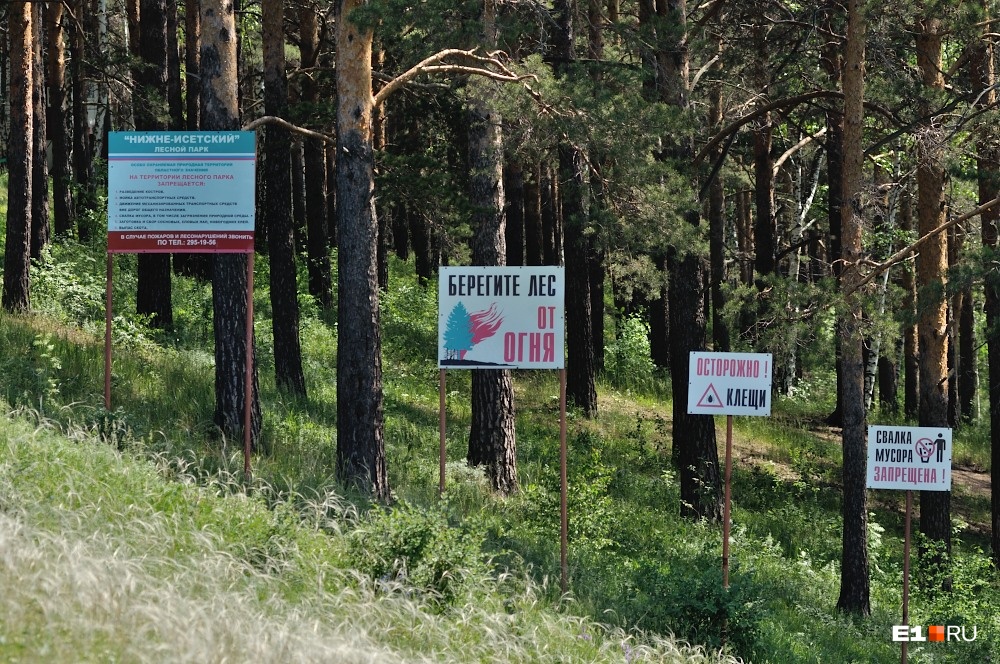 Нижнеисетский лесопарк екатеринбург карта