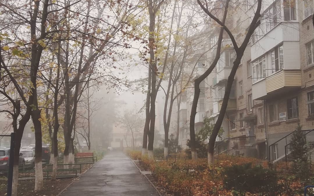Коренные ростовчане должны знать: какая это улица?