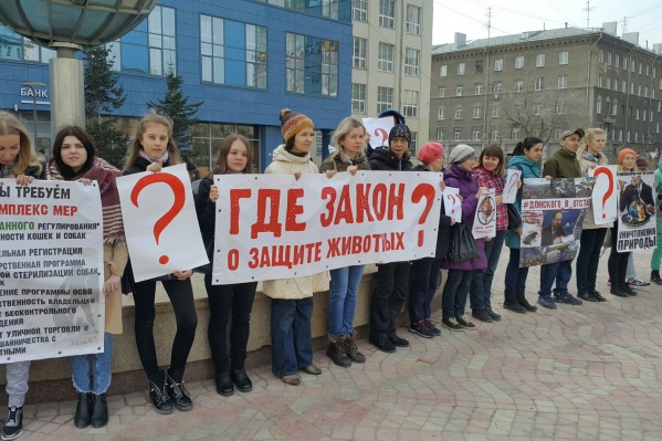 Акция прошла в сквере на Орджоникидзе Акция прошла в сквере на Орджоникидзе
