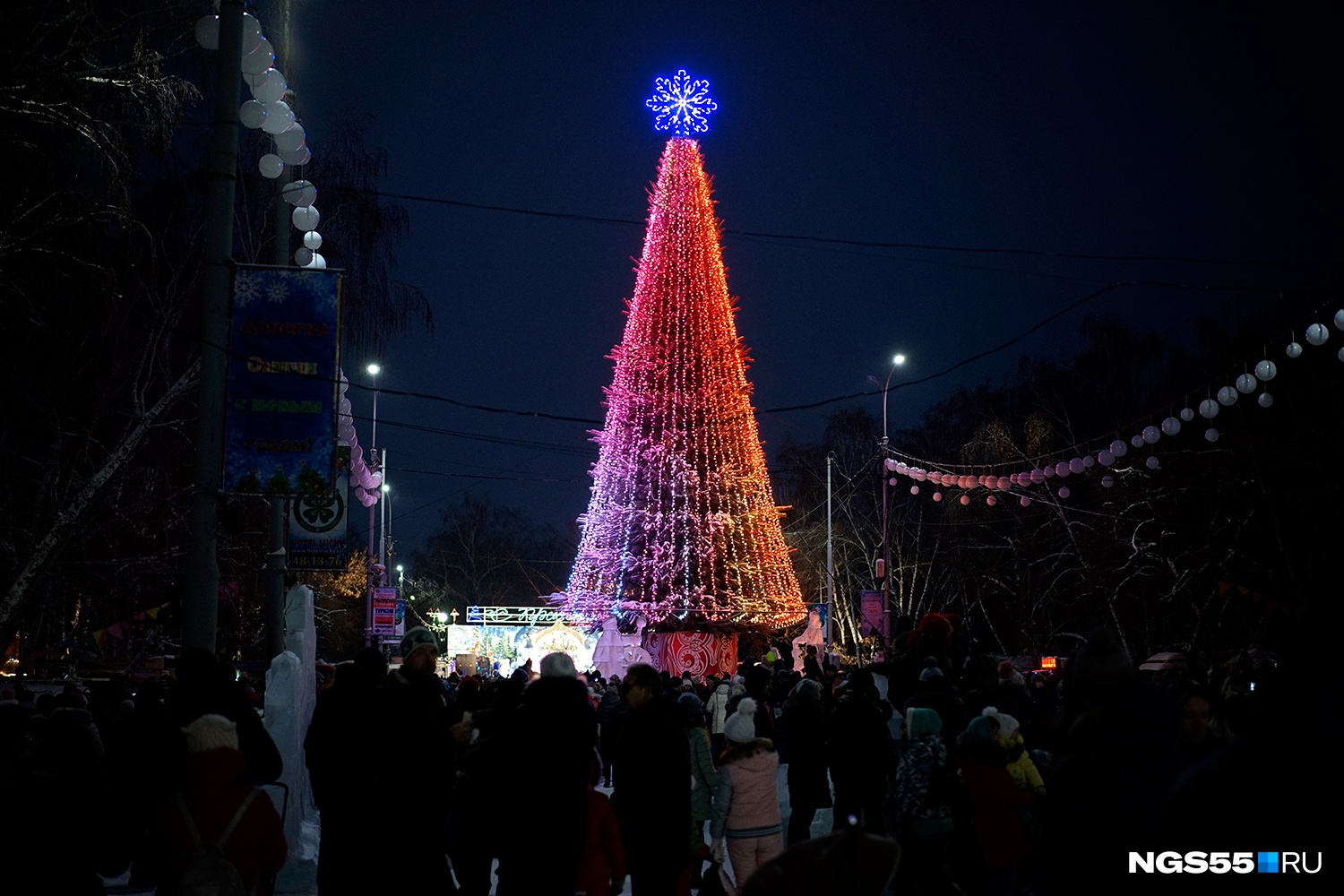 Городская елка. Елка в парке 30 лет ВЛКСМ Омск. Омск Главная елка города 2020. Омск Главная городская елка. Главная елка Омска.