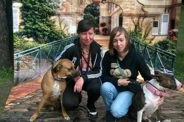 Фотомоделями работали больше 20 собак Фотомоделями работали больше 20 собак 