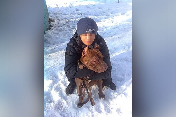 Сейчас мужчина находится под стражей Сейчас мужчина находится под стражей