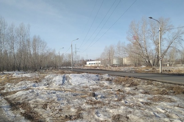 Вырубленная полоса на о. Отдыха Вырубленная полоса на о. Отдыха