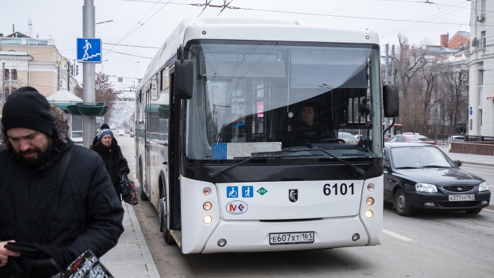 Власти Ростова проведут тендер на 27 автобусных маршрутов