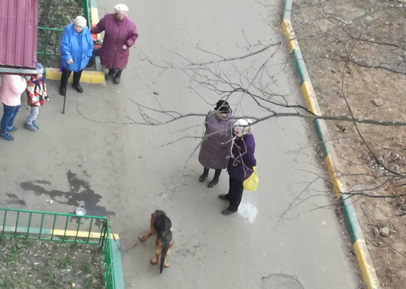Посты о такой находке разместили в соцсетях Посты о такой находке разместили в соцсетях