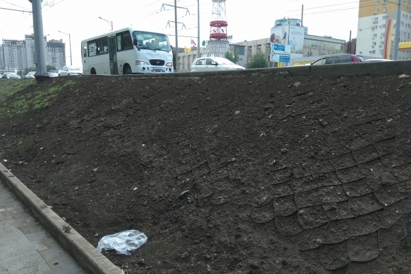 Подрядчик уложил новый грунт Подрядчик уложил новый грунт