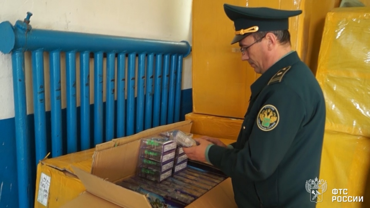 Это не первая партия контрафактных игрушек из Казахстана Это не первая партия контрафактных игрушек из Казахстана