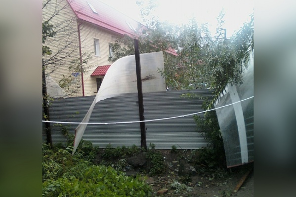 Волонтеры центра просят помощи в поимке убежавших птиц и восстановлении ограждений Волонтеры центра просят помощи в поимке убежавших птиц и восстановлении ограждений