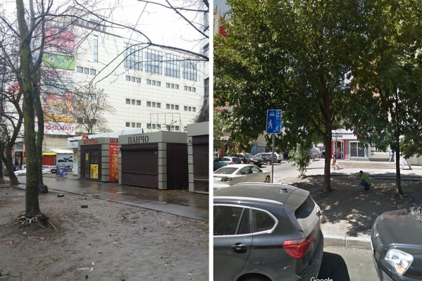 Ларьки появились на аллее только три месяца назад Ларьки появились на аллее только три месяца назад