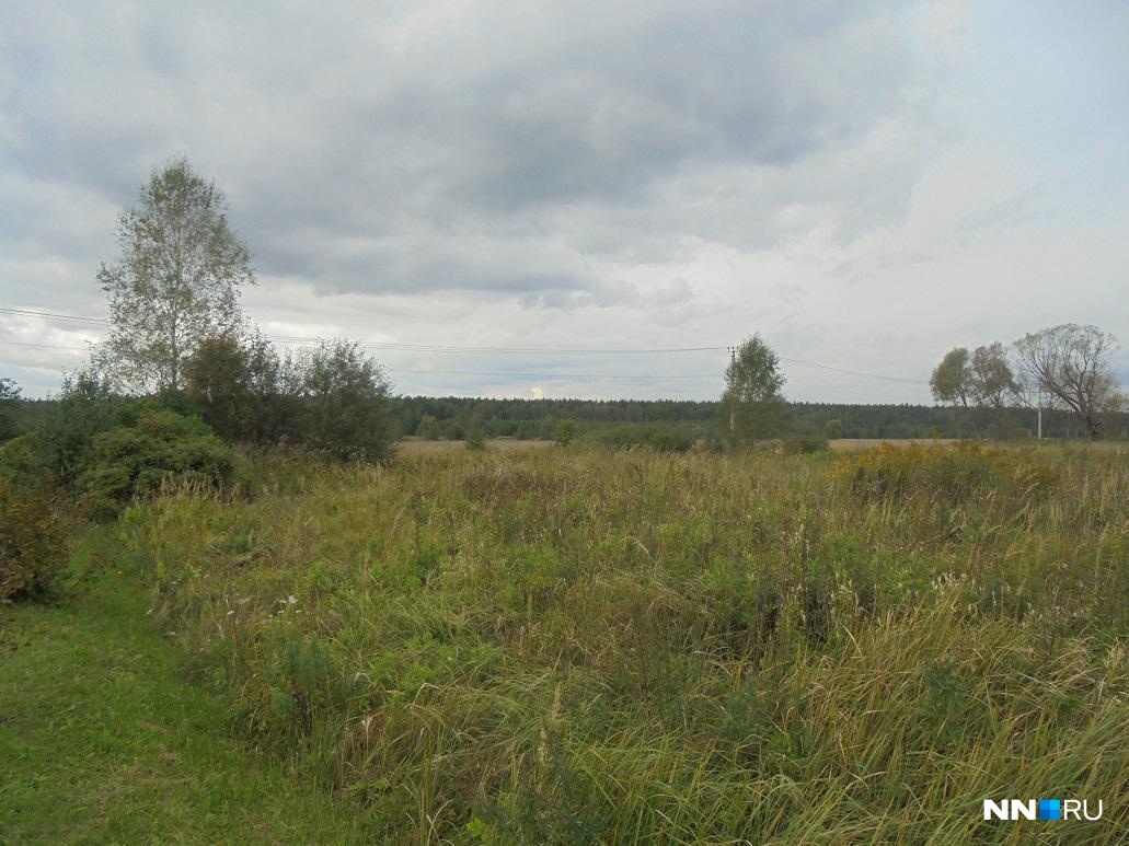 Земельные участки нижегородской. Нижегородская область, Кстовский р-н, д. Митино,. Земля в деревни Искадьево Нижегородской области. Аренда земли в ниж обл за га.