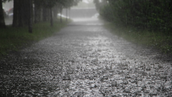 Грозы и сильные дожди: МЧС региона предупредило о шторме, который начнется в Поморье сегодня вечером