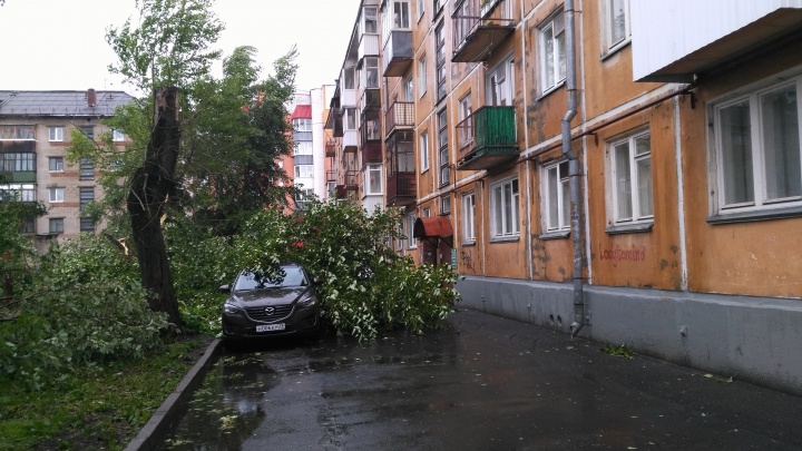 «Затормозил — поймал дерево на капот»: с утра в Архангельске произошло 18 ДТП