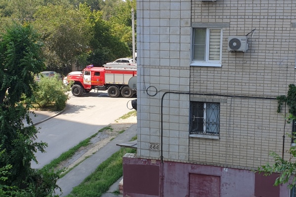 Запах гари добрался до соседних многоэтажек, перепугав волгоградцев Запах гари добрался до соседних многоэтажек, перепугав волгоградцев