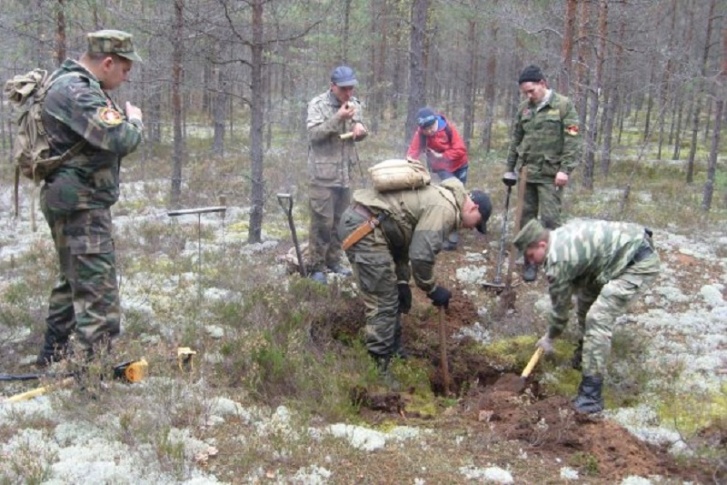 Останки солдата нашли члены поискового отряда в Тверской области