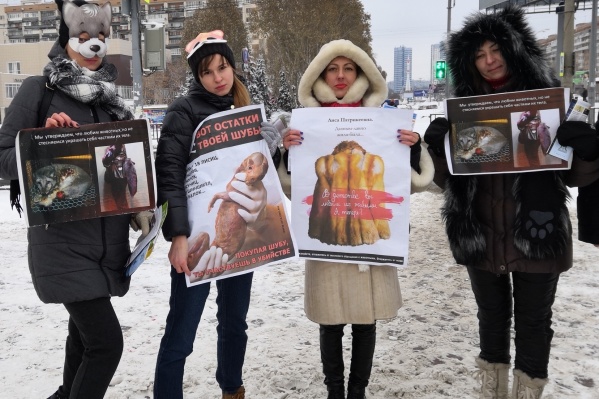 Надпись на одном из плакатов: «В детстве вы любили их живыми. А сейчас?» Надпись на одном из плакатов: «В детстве вы любили их живыми. А сейчас?»