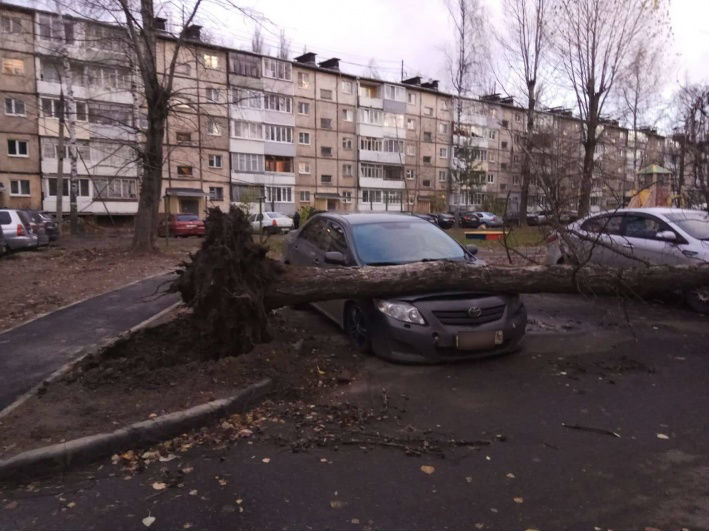Держитесь, автомобилисты! Держитесь, автомобилисты!