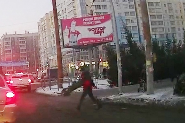 Мужчины взяли первое попавшееся дерево и спокойно пошли через перекрёсток Мужчины взяли первое попавшееся дерево и спокойно пошли через перекрёсток